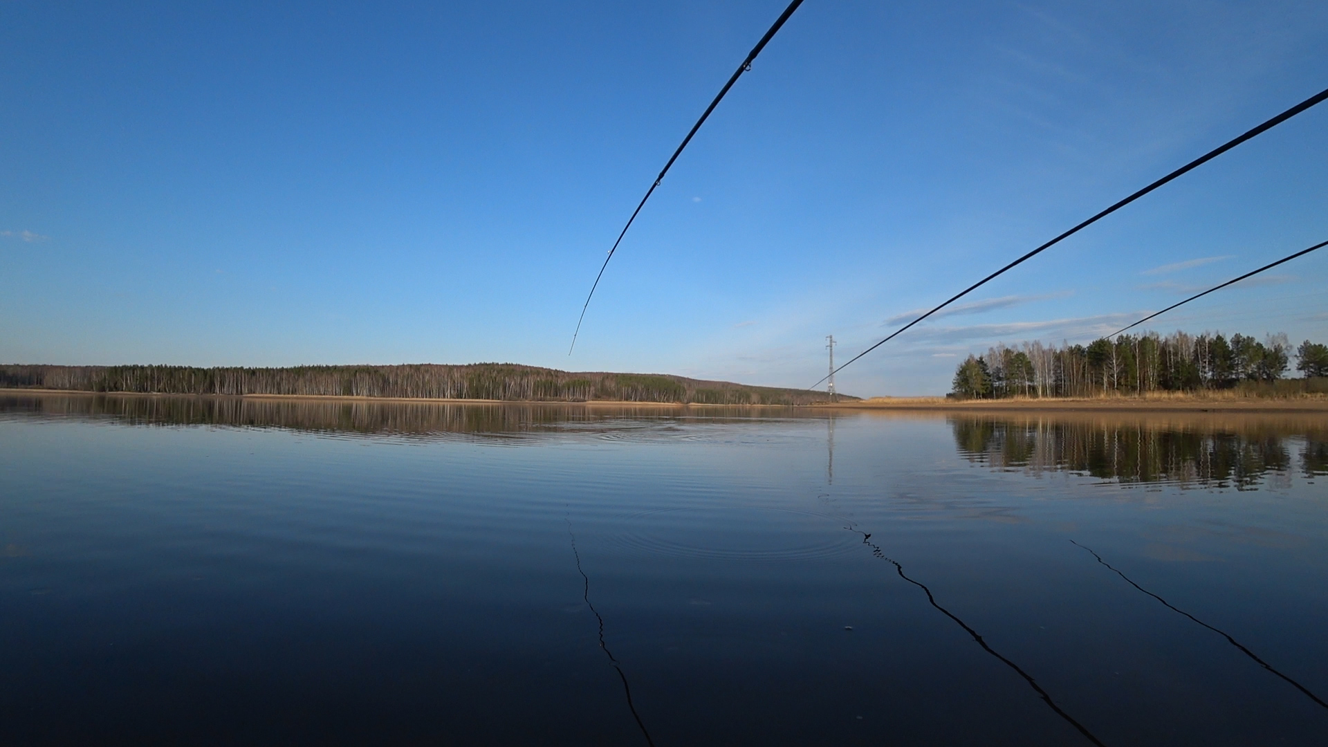 КЛЮЕТ НА КАЖДОМ ЗАБРОСЕ. ЗАЛИВ КИШИТ РЫБОЙ. ЧЕРЕЗ 5 ДНЕЙ ПОСЛЕ ЛЬДА #рыбалка #клеврыбы #плотва смотреть онлайн