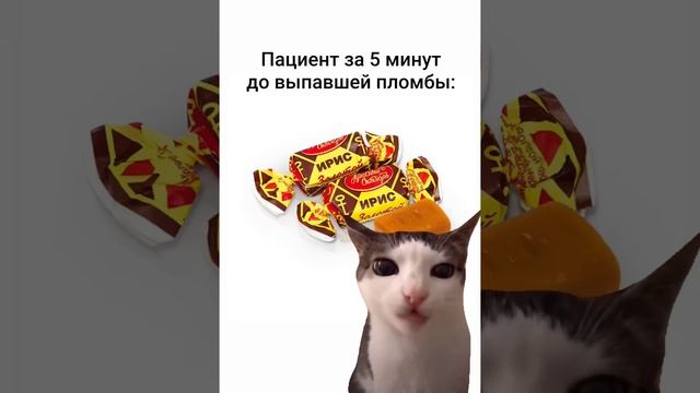 То, в чем ты никогда не признаешься стоматологу? смотреть онлайн