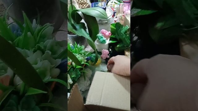 распаковка посылки с магазина Волшебные ручки из города Кирова смотреть онлайн