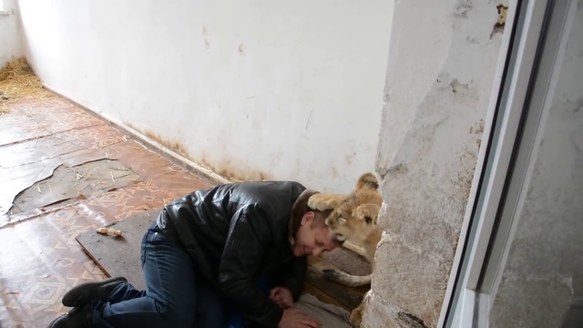 К Заре возвращается вера в людей смотреть онлайн