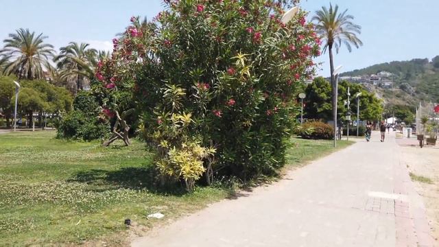 Alanya, Turkey |🇹🇷| Kleopatra beach 4K - 2023 смотреть онлайн