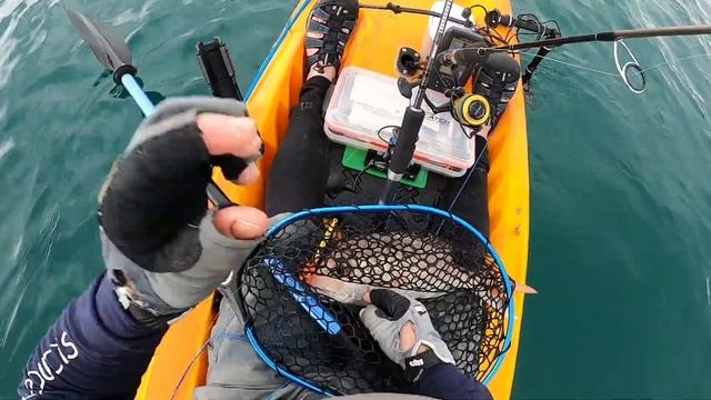 October 2021 Snapper Fest In Orere Point