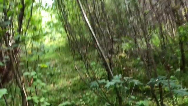 ОДНА В ЛЕСУ. ПОСЛЕ ГРОЗЫ. СТАДО КОЗЛОВ. ЛОДКА БЕЗ ВЕСЛА смотреть онлайн