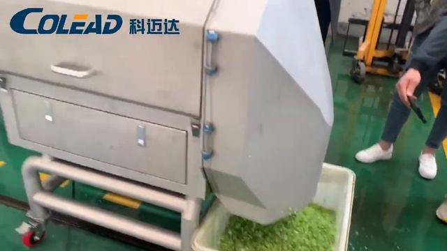 Flat belt vegetable cutter for celery cutting from Colead смотреть онлайн