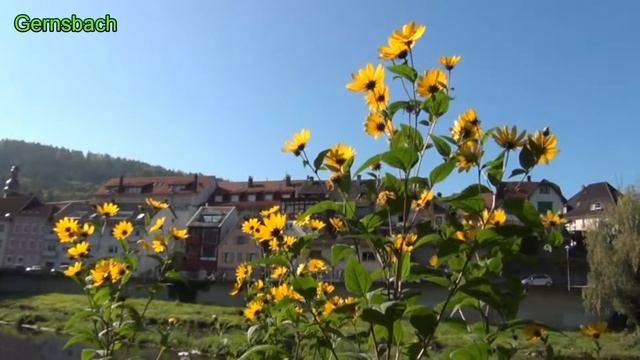 SONY HDR-CX130E.Schnittsoft. PowerDirector 9. Gernsbach.Test смотреть онлайн