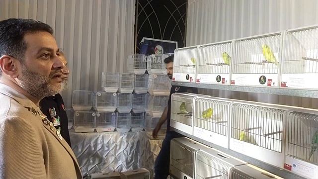 PAG birds show judges from Kuwait and Egypt | смотреть онлайн