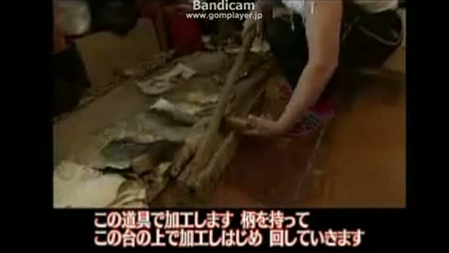 テレビでロシア語「少数民族ナナイの村」　2－３ смотреть онлайн