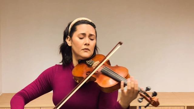 Suzuki Violin Book 2 - The two Grenadiers смотреть онлайн