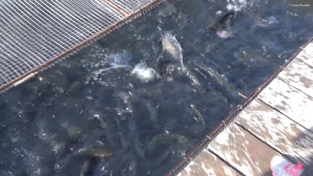 Республика Дагестан. День 1. Октябрь 2018г. смотреть онлайн