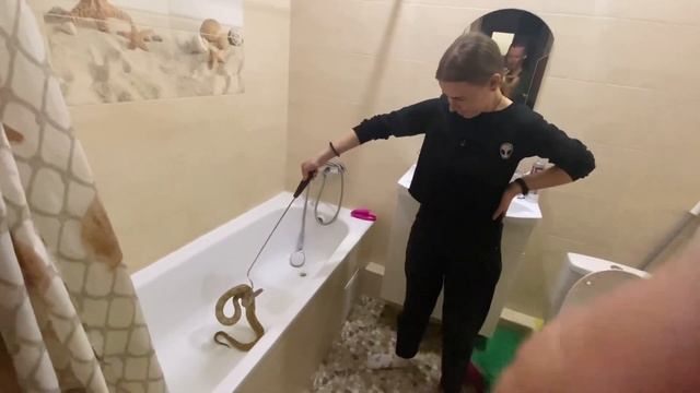 Опасная змея в ванной ?? смотреть онлайн