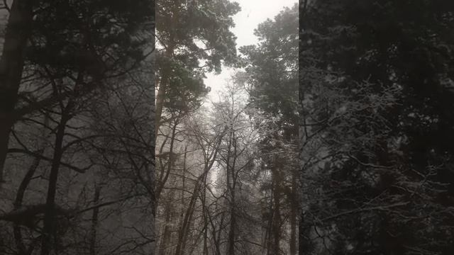 Весна смотреть онлайн