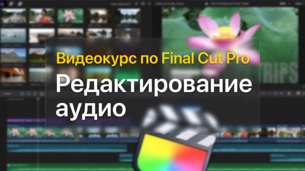 ? Редактирование аудио — курс уроков по Final Cut Pro