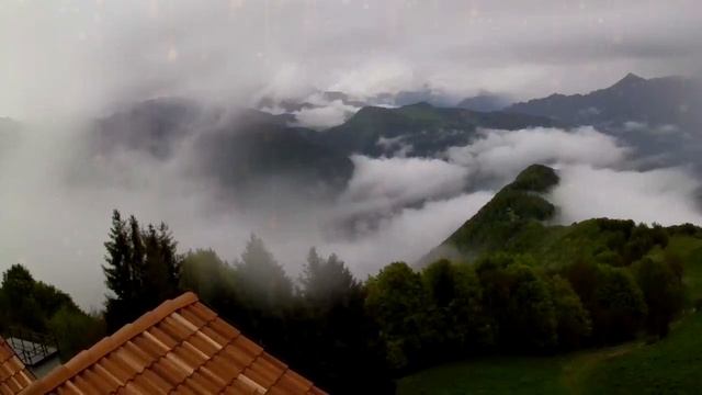 Как кошка указывает на негативную энергию в доме смотреть онлайн