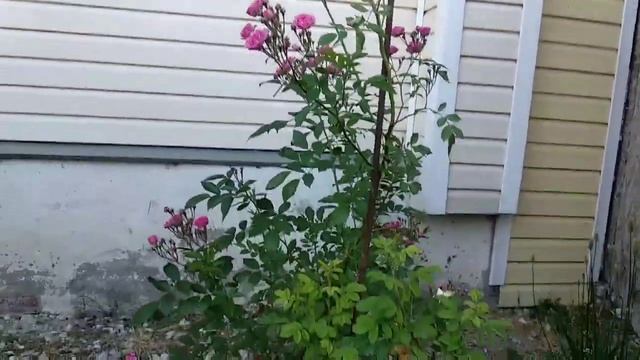 Рецепты Изысканности