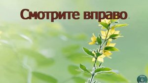 Физкультминутка для глаз.