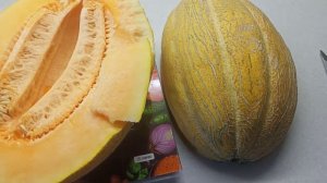 Обзор сорт дыни Эфиопка