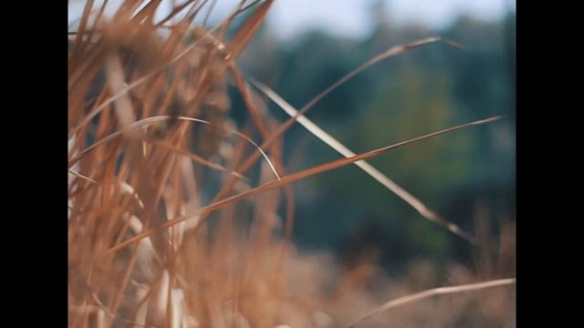 CEMEMATIC VIDEO WITH CANON EOS 1300D #rumahkeche смотреть онлайн