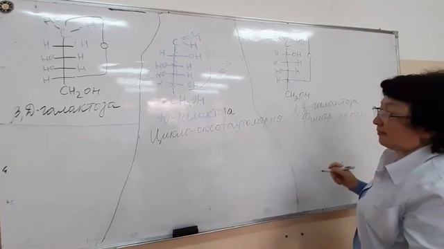 Көмірсулар. Моносахаридтер. Дисахаридтер. Полисахаридтер. 1 курс. Жалпы медицина. смотреть онлайн