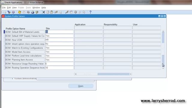 SYS Setting Profiles, Oracle Applications Training смотреть онлайн