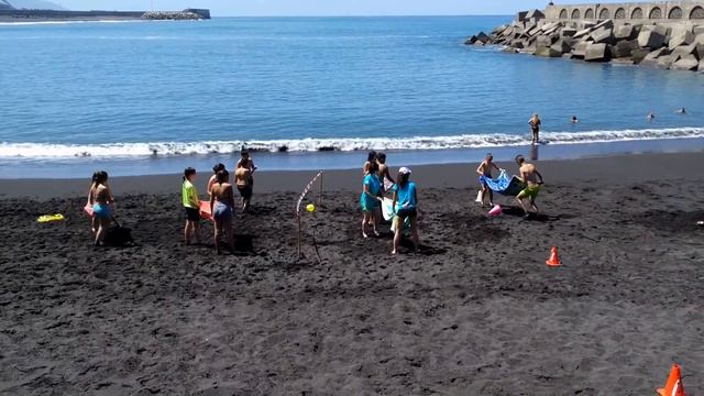 La Palma school class playing and learning social and physical skills at the black sand beach of смотреть онлайн