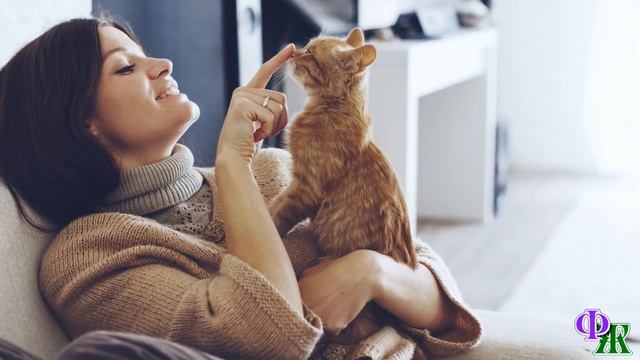 Слепой, с чуть подсохшей пуповиной, КОТЕНОК не мог ползти от голода и холода, он даже не мяукал… смотреть онлайн