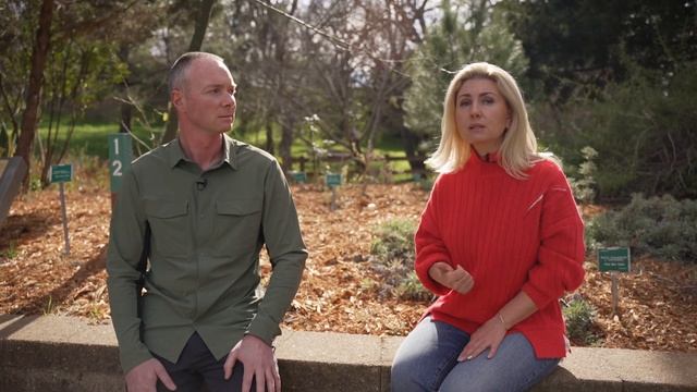 Concord, CA. Выбираем город для жизни в San Francisco Bay Area.