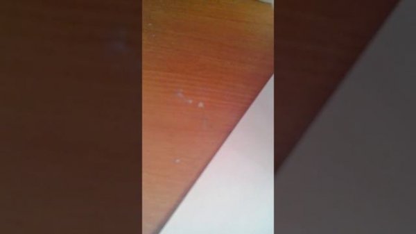 Реакция пероксида водорода с оксидом марганца ?