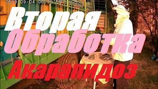 Трахейный клещ Acarapis Woodi - Акарапидоз.Невидимый враг пчел-Гибель пчел медленная и незаметная. смотреть онлайн
