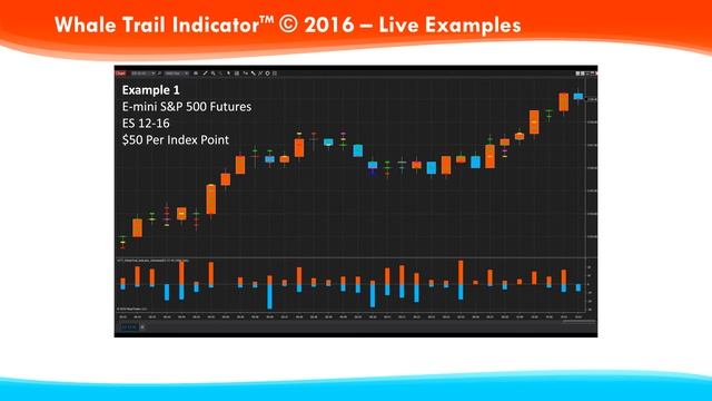 A Real-Time Trading Tool: The Whale Trail Indicator смотреть онлайн