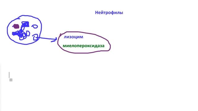 Лейкоциты. (Осторожно! Не для ЕГЭ и не для слабонервных). смотреть онлайн