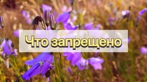13 апреля народный праздник ИПАТИЙ ЧУДОТВОРЕЦ. Что нельзя делать. Народные приметы и традиции.