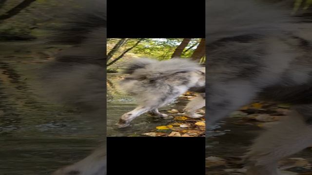 Все красиво смотреть онлайн