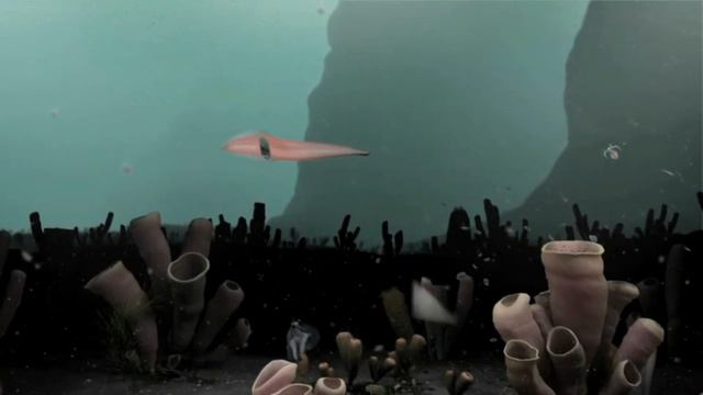 Life's Big Bang - The Story Of The Cambrian Explosion ~ With SHUHAI XIAO