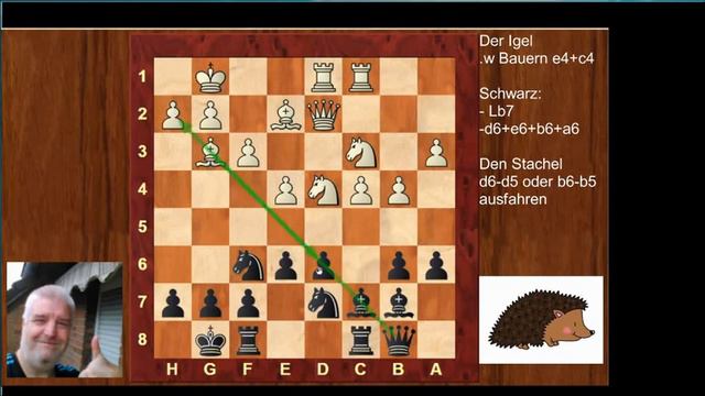Igel - Hedgehog - Ideen für Schwarz смотреть онлайн