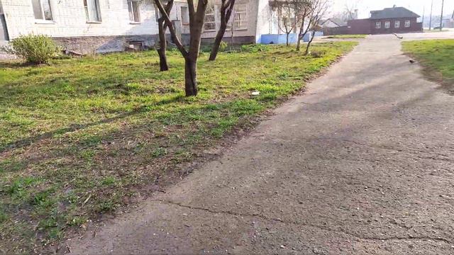 Парковка на Зеленой Зоне. (((((((( смотреть онлайн