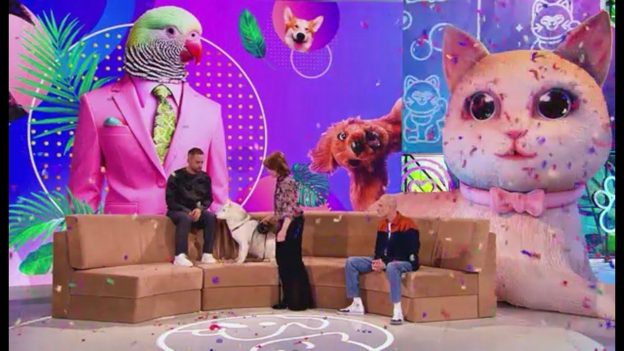 Отрывок из передачи "В кругу друзей"(Салюты, петарды и фейерверки) смотреть онлайн