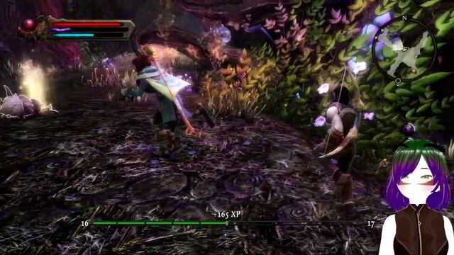 Прохождение Kingdoms Of Amalur Re Reckoning, Часть 22- Рандамир и Сады Исы