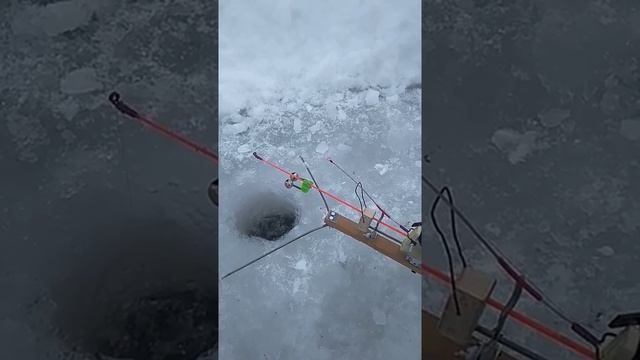 Зимняя самоподсекающая удочка