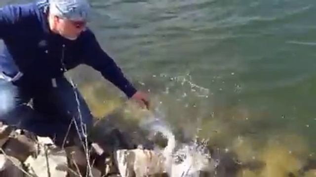 Блесна Ульянка смотреть онлайн