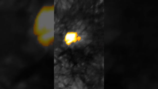 Гнездо жаворонка. Обнаружено с помощью термографа смотреть онлайн