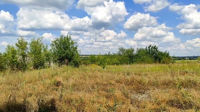 Ваша родственная душа – не тот человек, которого вы придумали в мечтах. смотреть онлайн