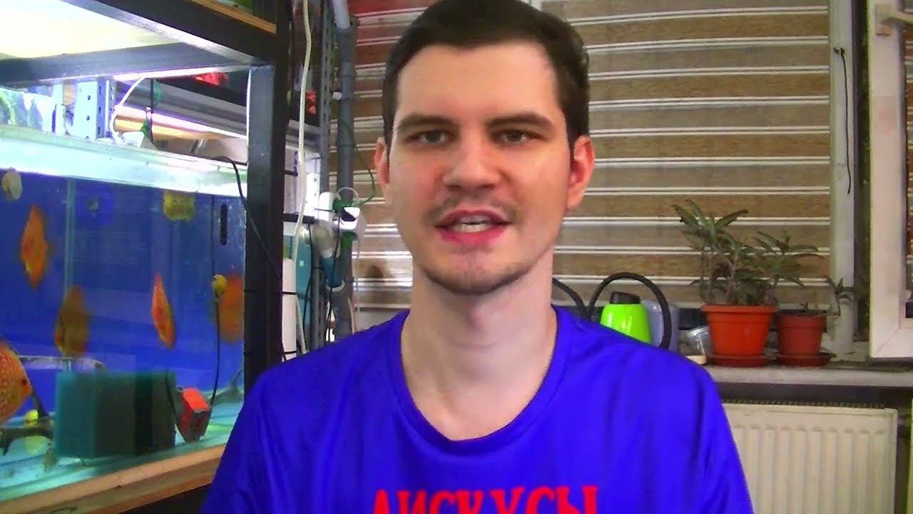 Осенний обзор разведения Дискусов смотреть онлайн