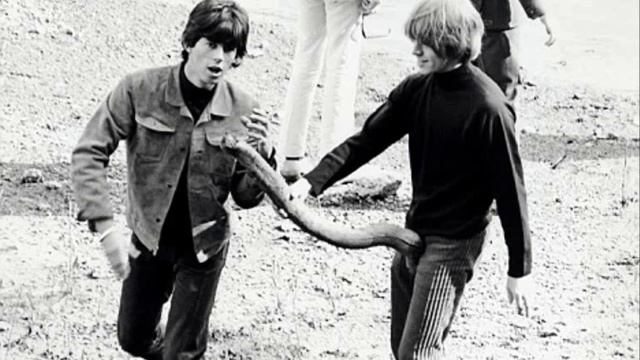 Brian Jones: Brian's Blues смотреть онлайн