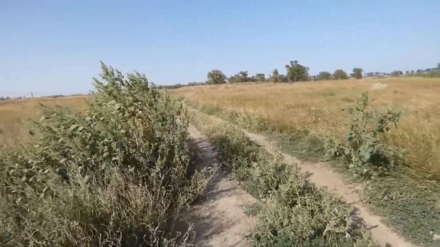 28 ноября-ГУРЬЕВ ДЕНЬ.НАЧАЛО РОЖДЕСТВЕНСКОГО ПОСТА.Народные приметы. смотреть онлайн