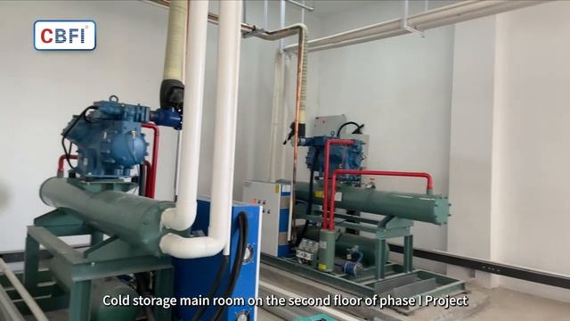 Pork slaughtering processing refrigeration by CBFI Company смотреть онлайн