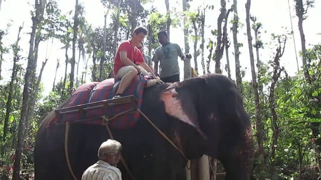 34 - Thekkady - Elephant ride - как оседлать слона? смотреть онлайн