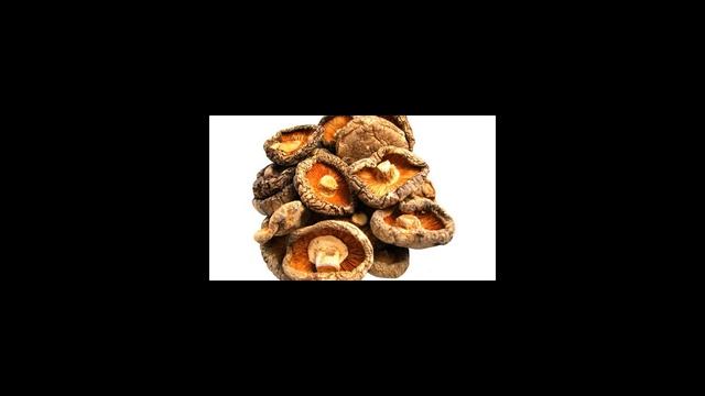 Как сушить грибы в микроволновке? смотреть онлайн