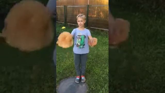 Огромный белый гриб смотреть онлайн