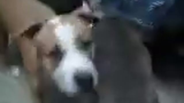 Д Р Игоря 027 смотреть онлайн