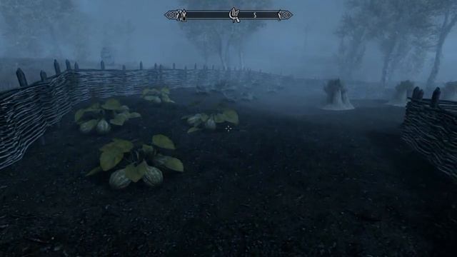 Skyrim - Swimming On Land Bug